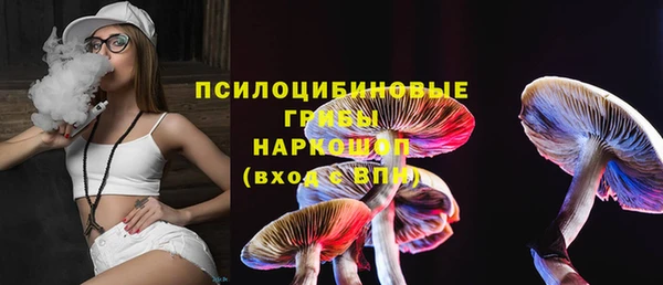 apvp Ельня