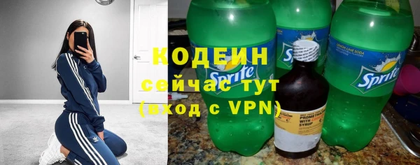 твердый Елизово