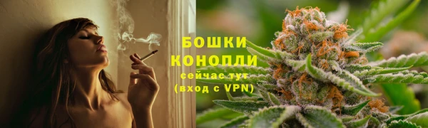 apvp Ельня