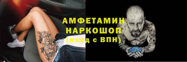 apvp Ельня