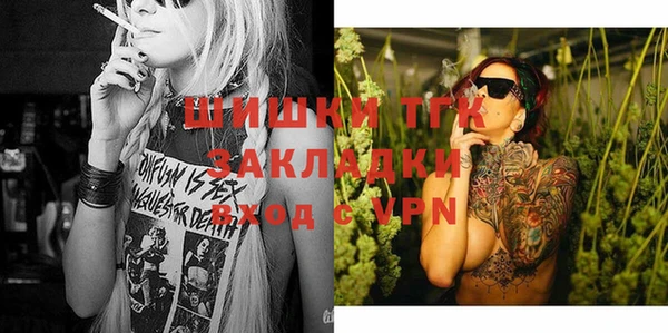 apvp Ельня