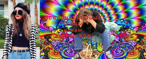 твердый Елизово
