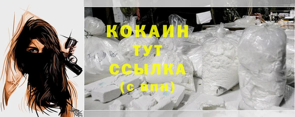 твердый Елизово