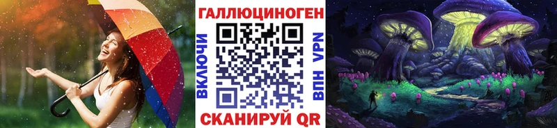 Псилоцибиновые грибы Cubensis Северо-Курильск